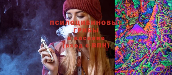 apvp Горняк