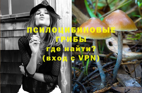 мдма Гусев