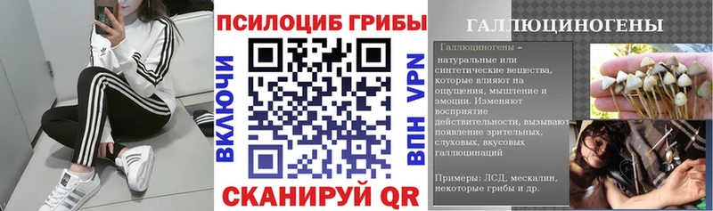 Галлюциногенные грибы Cubensis  Купить  Тында 